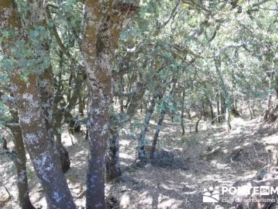 Ciudad Encantada de Tamajón - Retiendas - Almiruete; trekking sierra de gredos